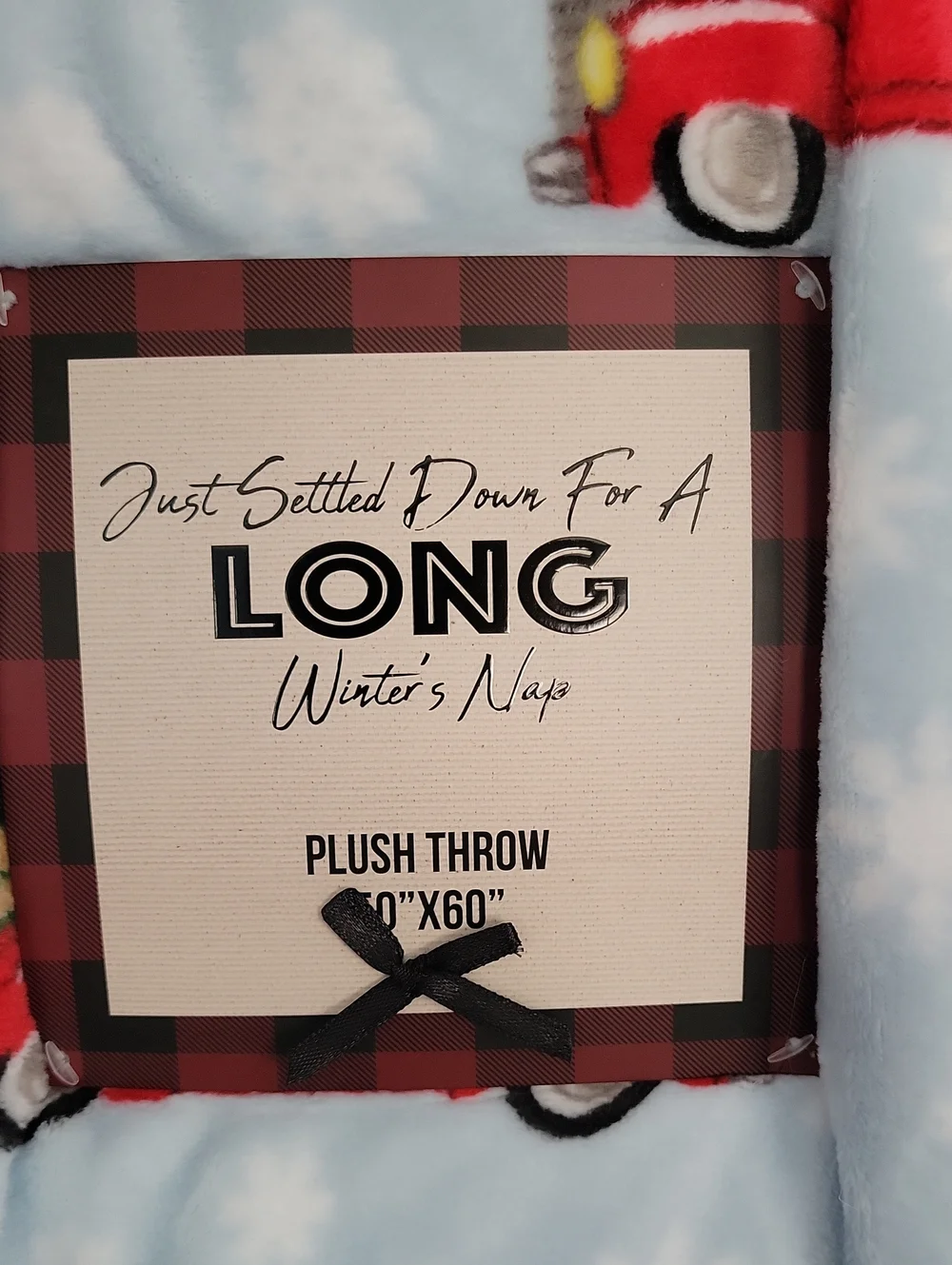 2/$30 Long Winter's Nap Plush Throw Blanket - Light Blue & Red Truck 50x 60